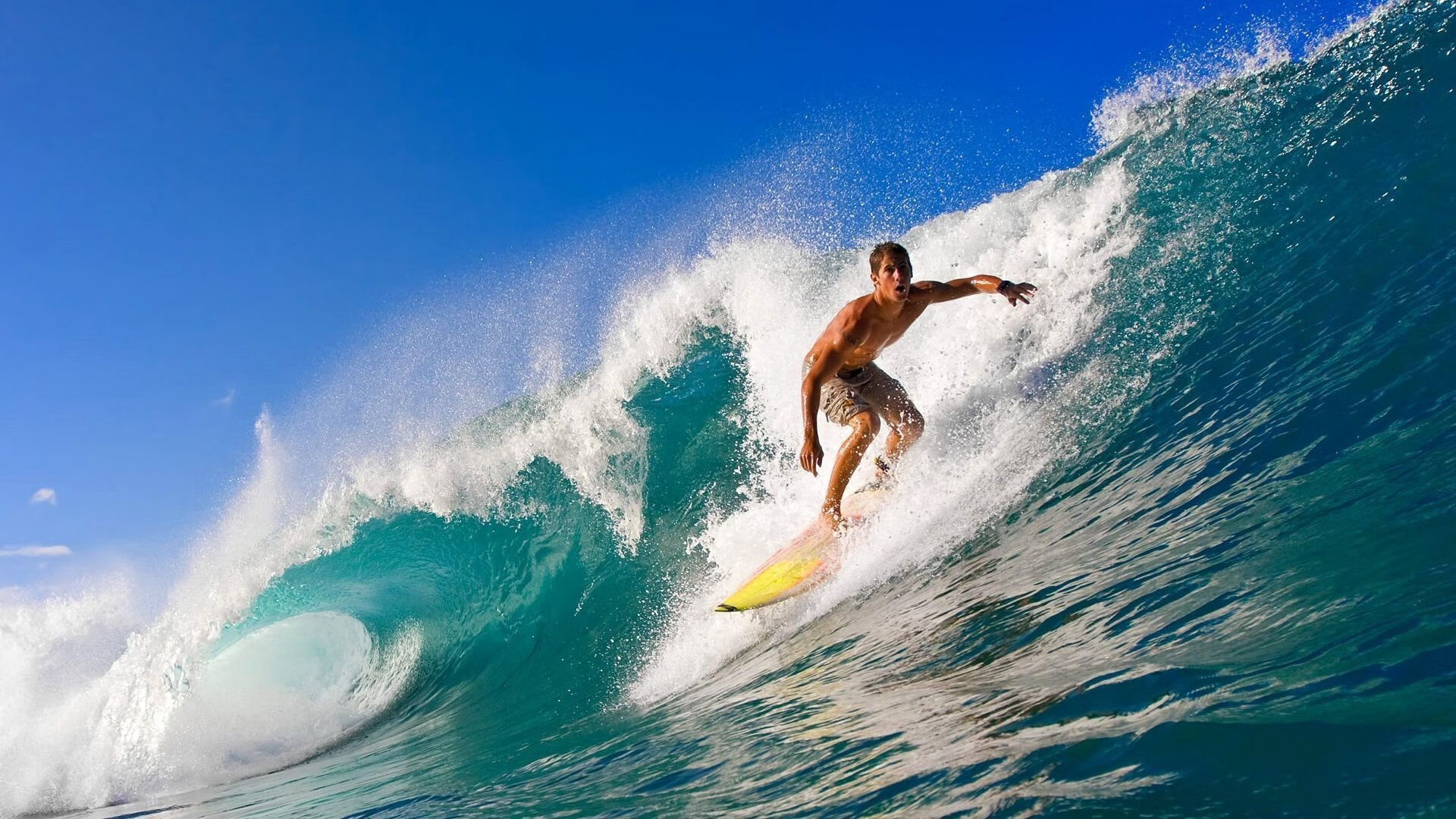 ky体育官网-全力以赴，助力球队率先突破对手防线！，全力以赴帮助